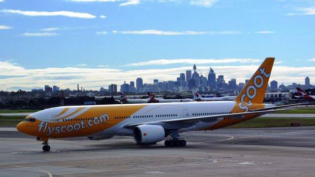 Ilustrasi pesawat maskapai Scoot Airlines. (Foto: Wikimedia Commons)