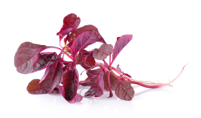 Bayam merah (Foto: Thinkstock)