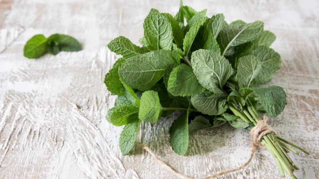 Ilustrasi daun mint. (Foto: Thinkstock)