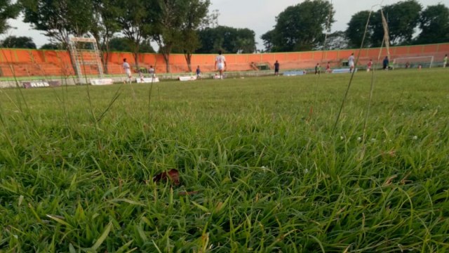 Bikin Nelangsa, Stadion Pogar Tak Terawat Hingga Tumbuh Rumput Setinggi Satu Meter