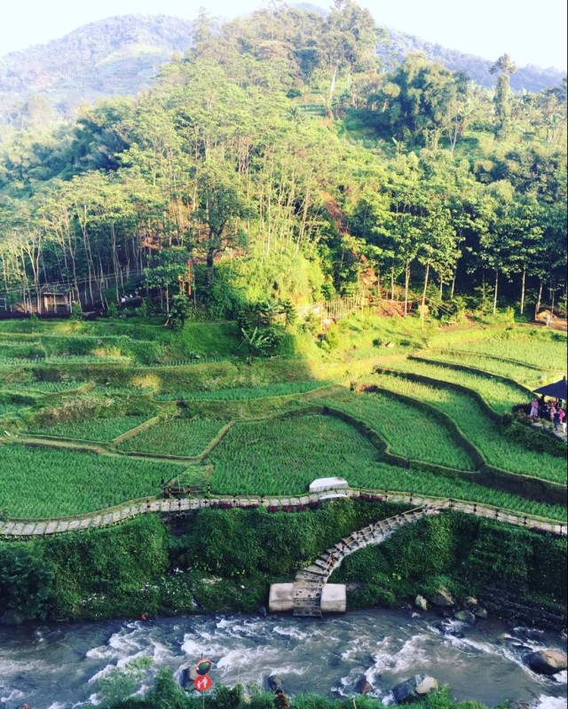 Longsor di Puncak: Kehendak Tuhan atau Kecerobohan Manusia (1)