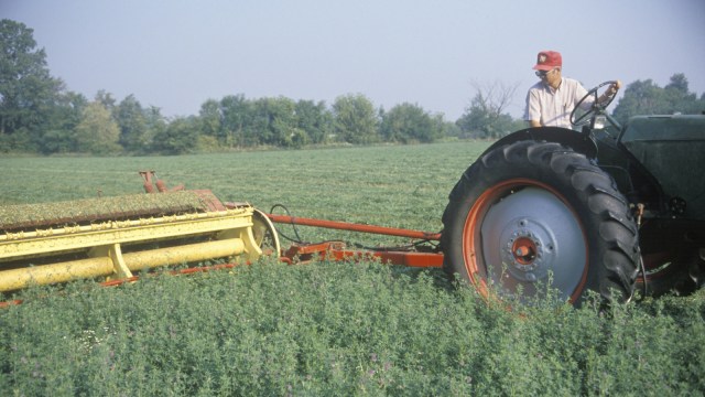 Ilustrasi petani AS. Foto: Shutterstock