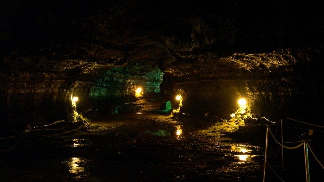 Manjang-gul Cave. (Foto: Flickr / Janet Ng)