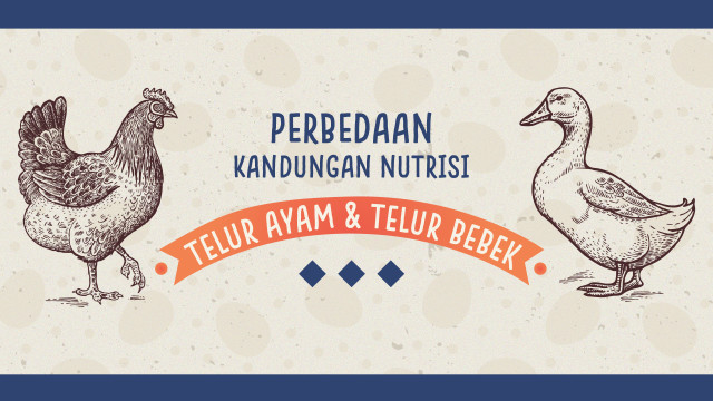 Infografik kandungan gizi telur ayam dan bebek (Foto: Lidwina Win Hadi/kumparan)