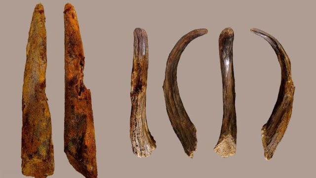 Alat kayu berusia 90 ribu tahun. (Foto: PLOS One)