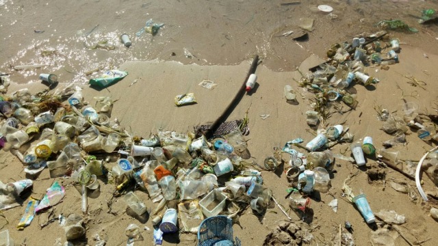 Sampah di pesisir pantai daerah Sanur, Bali. (Foto: Cisilia Agustina Siahaan/kumparan)