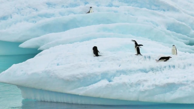 Lapisan es di Antartika (Foto: Pxhere)