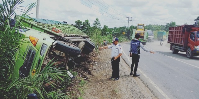 Brakkkk...Tronton Bermuatan Pupuk terguling di Lintas Timur Mesuji