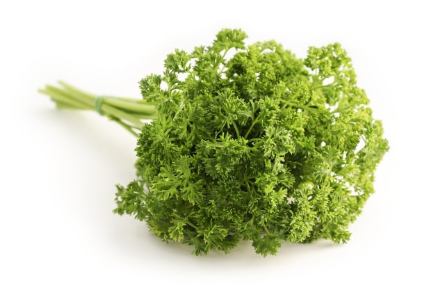 Ilustrasi daun parsley