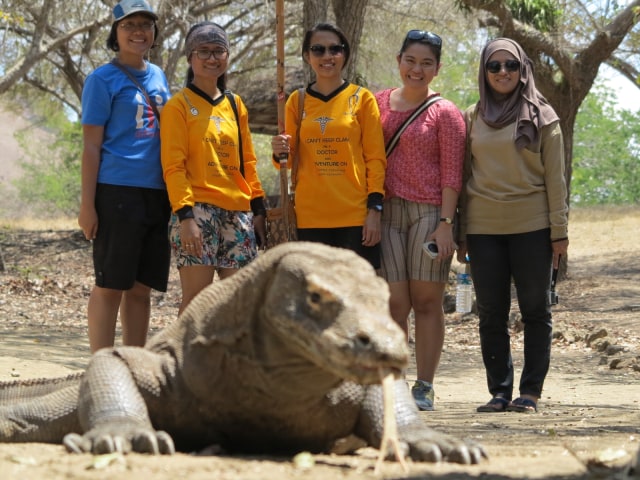 Wisatawan melihat komodo. (Foto: Flickr/Yechi)