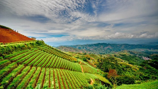 Wisata Terasering Panyaweuyan, Majalengka. (Foto: Flickr/hanin dito)