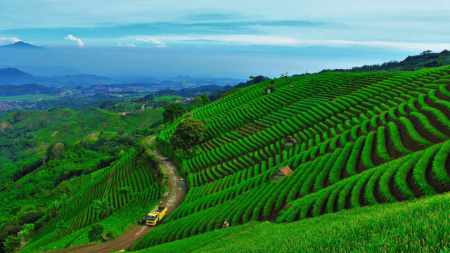 Wisata TeraseringPanyaweuyan, Majalengka. (Foto: Flickr/Saweuy Land)