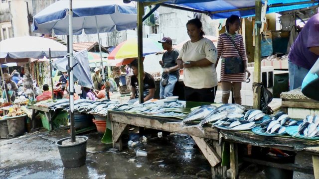 Harga Ikan di Ambon Mengalami Kenaikan hingga 20 Persen