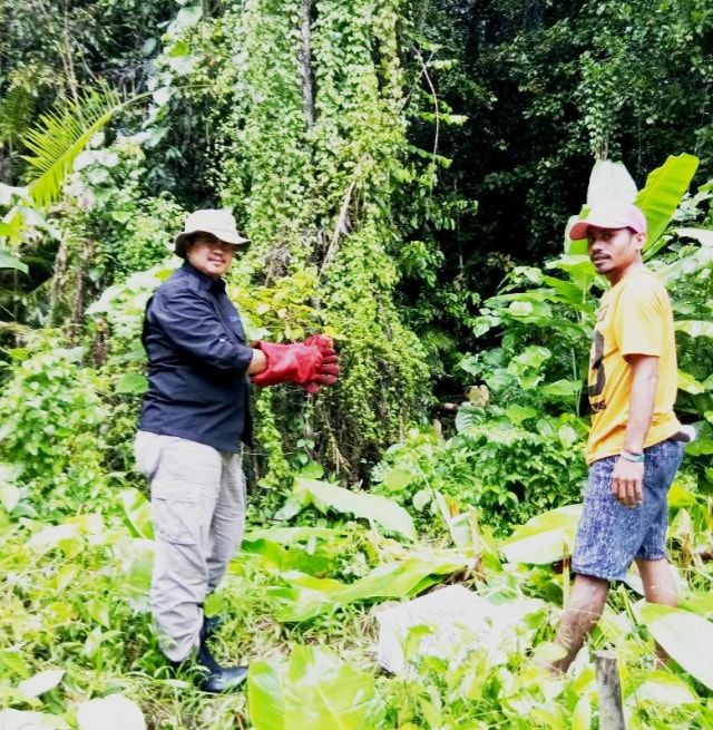 BKSDA Maluku Lepas Puluhan Burung Nuri dan Perkici
