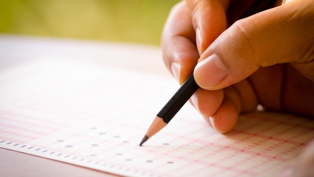 Ilustrasi tugas sekolah. Foto: Thinkstock