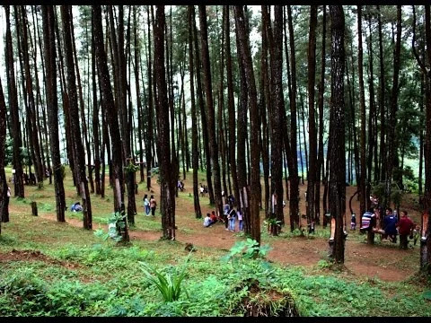 Keindahan tersembunyi di kota gadis (1)