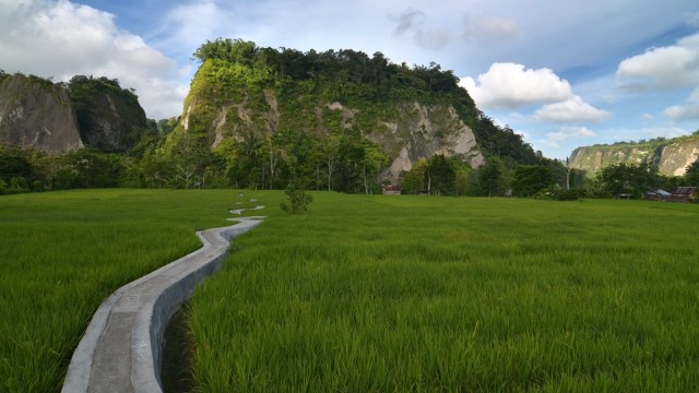 Ngarai Sianok. (Foto: Flickr/Deni Dahniel)