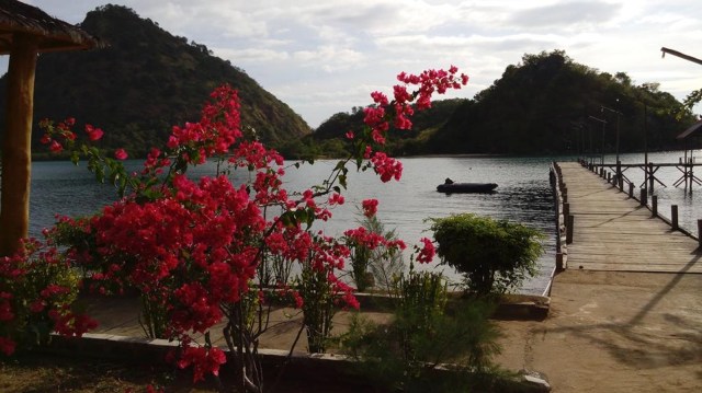 Wae Cicu Beach Inn, Labuan Bajo. (Foto: booking.com)