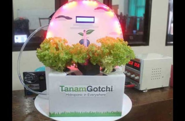 Tanam Gotchi, Aplikasi Bercocok Tanam Hidroponik, Selada Pun Bisa Diajak Omong