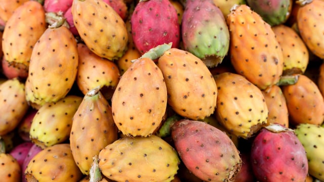 Buah Tuna (Foto: Thinkstock)