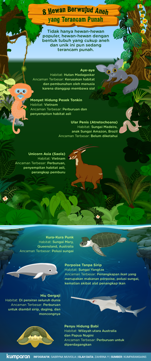 8 hewan berwujud aneh yang terancam punah. (Foto: Sabryna Putri Muviola/kumparan)