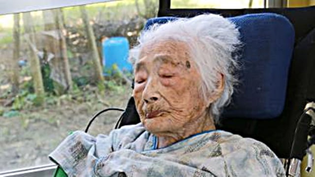 Nabi Tajima meninggal dunia. (Foto: Wikimedia Commons)
