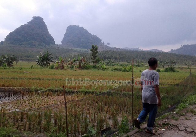 Gunung Lawang di Bojonegoro, Binatang Buas Hingga Angker