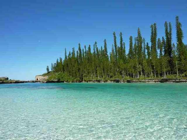 Menjaga Konservasi Laut: Pelajaran dari New Caledonia
