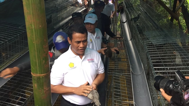 Mentan Amran bagi-bagi ayam. (Foto: Elsa Toruan/kumparan)