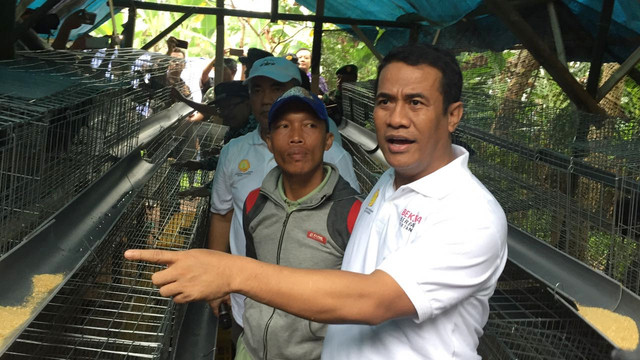 Mentan Amran bagi-bagi ayam. (Foto: Elsa Toruan/kumparan)