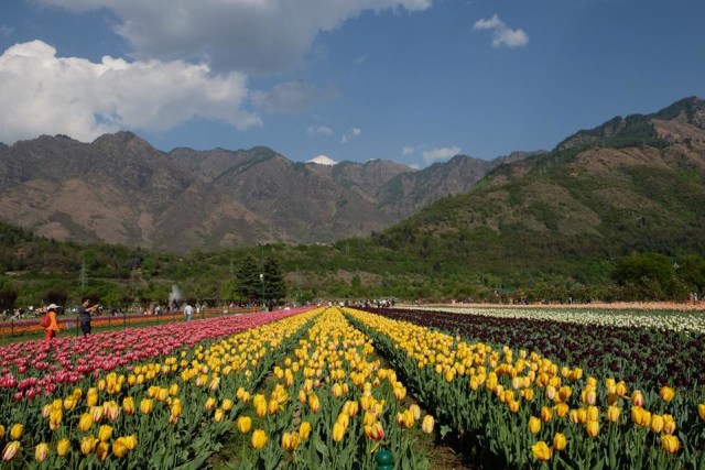 8 Info & Tips Wisata: Kashmir, Surga Dunia yang Membara (9)