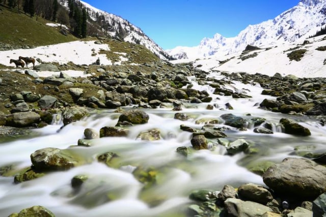 8 Info & Tips Wisata: Kashmir, Surga Dunia yang Membara (8)