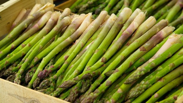 Ilustrasi asparagus (Foto: Pixabay)