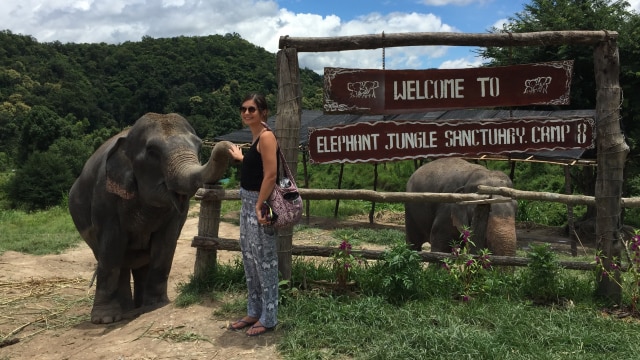 Gajah di Elephant Jungle Sanctuary (Foto: Flickr / Ciao ThingsNoMadsDo)