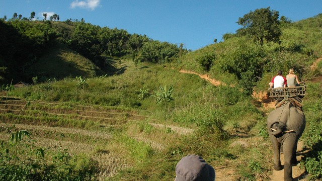 Gajah di Elephant Hills (Foto: Flickr / Arthur Pijpers)