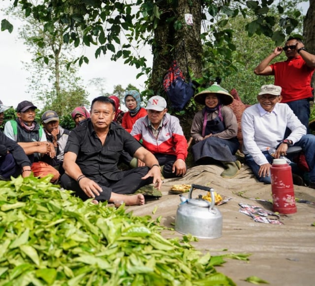 Disuguhi Teh Rancabali, Kang Hasan Terima Aspirasi Buruh Petik Teh