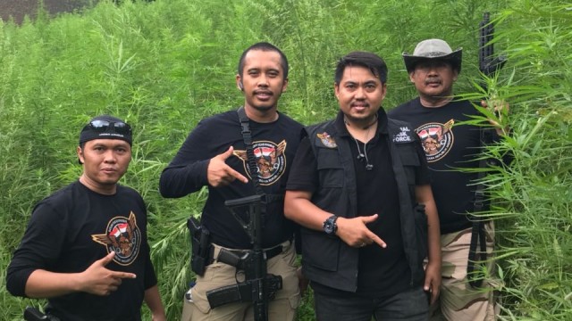 Penemuan ladang ganja 7 hektar di Aceh (Foto: Dok. Istimewa)