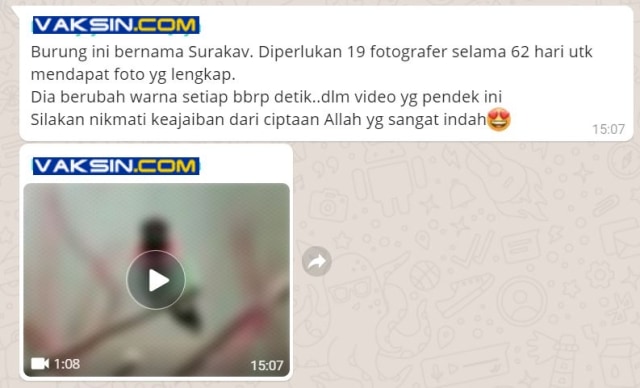 Hoax Surakav (Foto: istimewa)