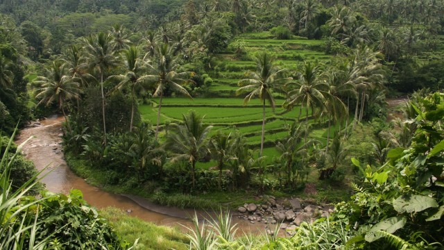 Sungai Ayung (Foto: flickr / Linus Mak)