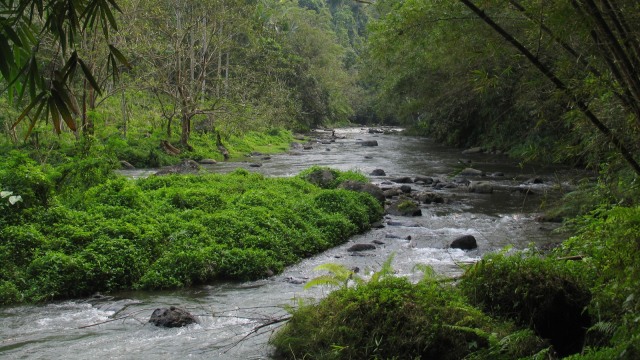 Aliran air sungai Ayung (Foto: flickr / max meijer)