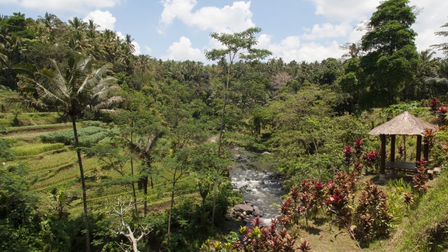 Pemandangan Sungai Ayung (Foto: flickr / fabien bertrand)