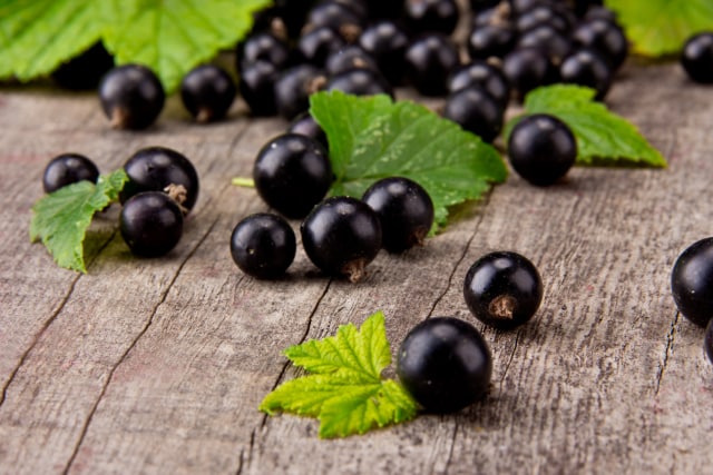 Blackcurrant (Foto: Thinkstock)