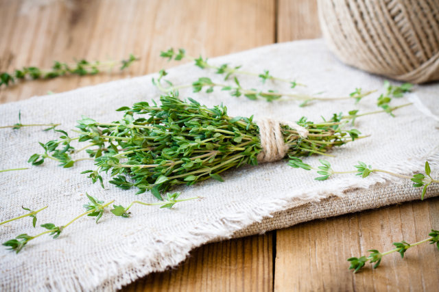 Daun thyme (Foto: Thinkstock)