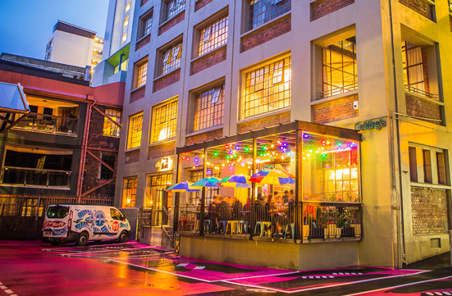 5 Hal Menarik dari Wellington: the Coolest Little Capital in the World (3)