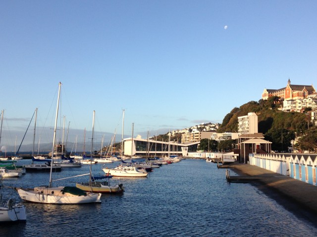 5 Hal Menarik dari Wellington: the Coolest Little Capital in the World (1)