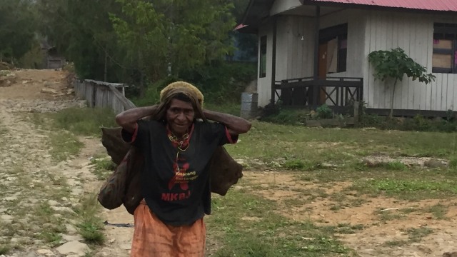 Pegunungan Bintang, Papua Foto:  Moh Fajri/kumparan