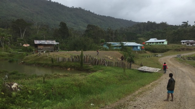 Pegunungan Bintang, Papua (Foto:  Moh Fajri/kumparan)