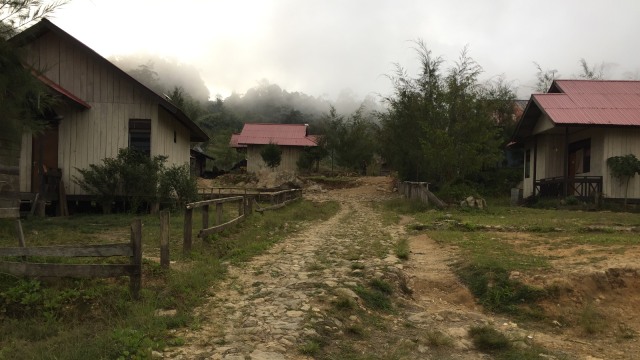 Pegunungan Bintang, Papua (Foto:  Moh Fajri/kumparan)