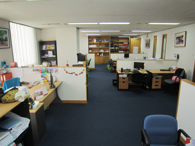 Solusi Pengganti Paku Sang Perusak Dinding 