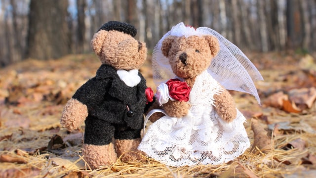 Ilustrasi perkawinan anak (Foto: PxHere)